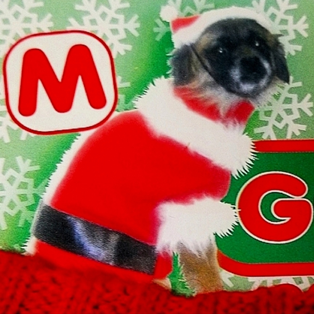 Good Dog 2pc Red & White Santa Claus Holiday Pet Costume M